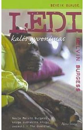 Melvin Burgess - Ledi kalės gyvenimas - 000000000001100867