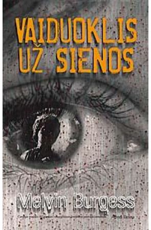 Melvin Burgess - Vaiduoklis už sienos - 000000000001102393