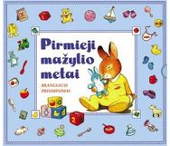 Pirmieji mažylio metai