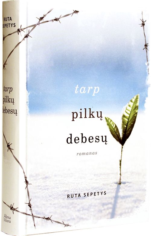 Tarp pilkų debesų Pegasas