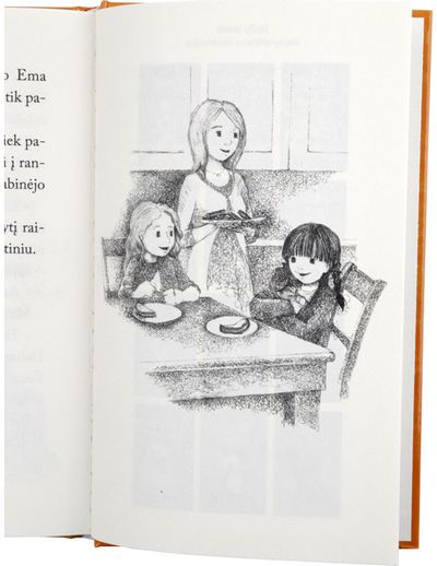 Holly Webb - Baikštus kačiukas Semis - 000000000001110865