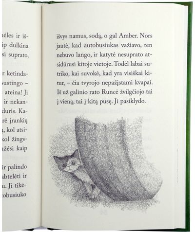 Holly Webb - Smalsi katytė - 000000000001110867