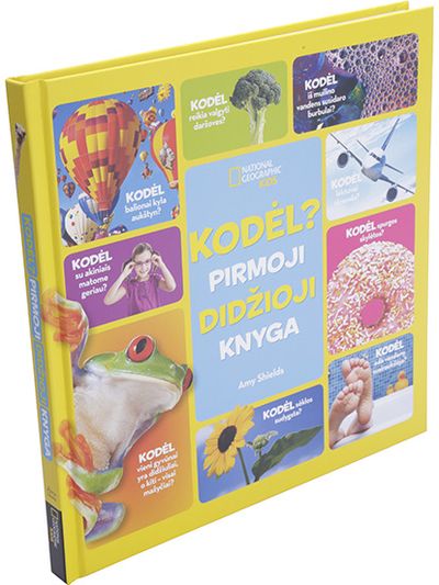 Amy Shields - Kodėl? Pirmoji didžioji knyga - 000000000001111804