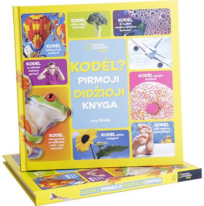 Amy Shields - Kodėl? Pirmoji didžioji knyga - 000000000001111804