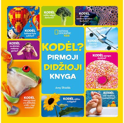 Amy Shields - Kodėl? Pirmoji didžioji knyga - 000000000001111804