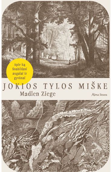 Madlen Ziege - Jokios tylos miške - 000000000001112304