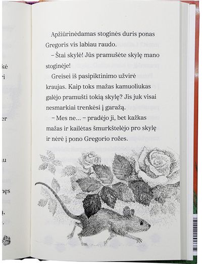 Linda Chapman - Nauji namai Pūkuotukei - 000000000001112319