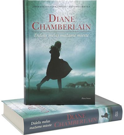 Diane Chamberlain - Didelis melas mažame mieste - 000000000001112376