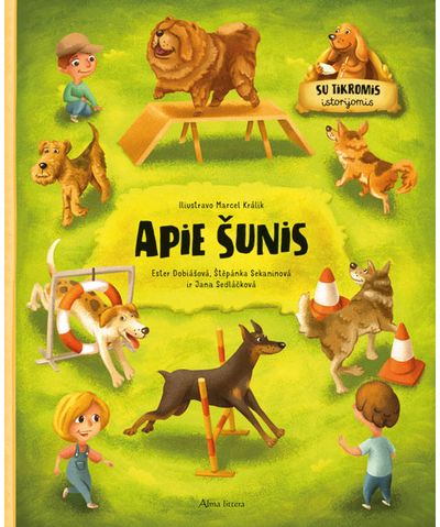 Jana Sedláčková, Jana Sekaninová, Ester Dobiášová - Apie šunis - 000000000001113039