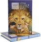 C.S. Lewis - Liūtas, ragana ir drabužių spinta. Ciklo "Narnijos kronikos" 2-oji knyga​ - 000000000001113042