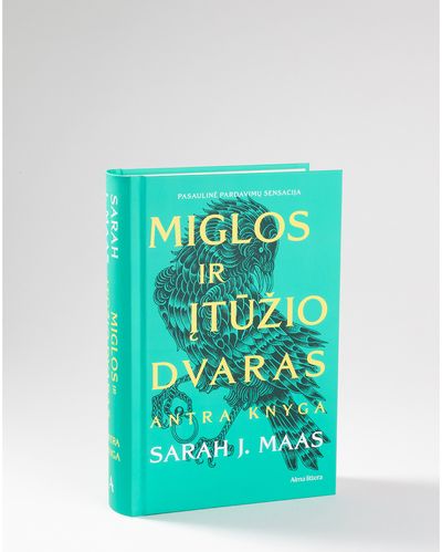 Miglos ir įtūžio dvaras. Antra knyga