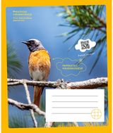  - Sąsiuvinis RAUDONUODEGĖ, 12 l., langeliais - 000000000001113807