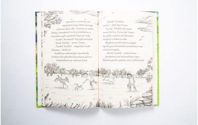 Kumeliukas vardu Smarkuolis