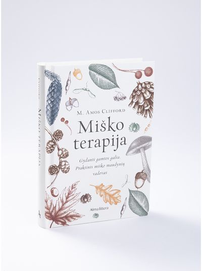 Miško terapija