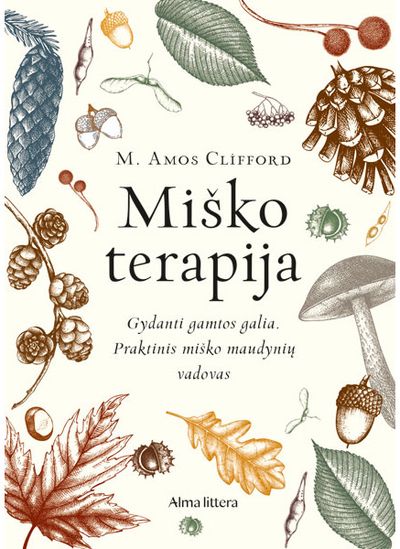 Miško terapija