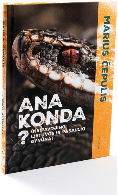 Ana konda?