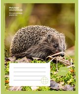 Sąsiuvinis EŽYS 24 l., langeliais