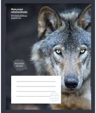 Sąsiuvinis VILKAS, 24 l., langeliais