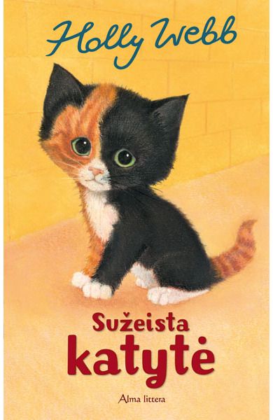 Stoties katytė