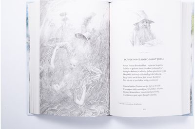 Nepaprastosios Karalystės pasakos