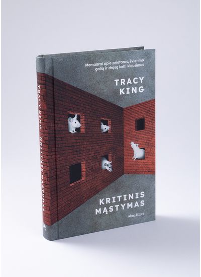 Kritinis mąstymas