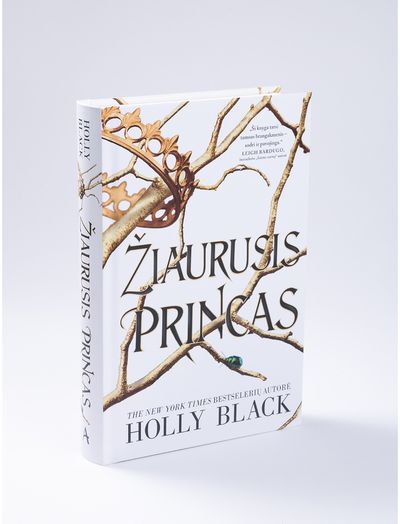 Žiaurusis princas. Serijos „Žiaurusis princas“ pirma knyga