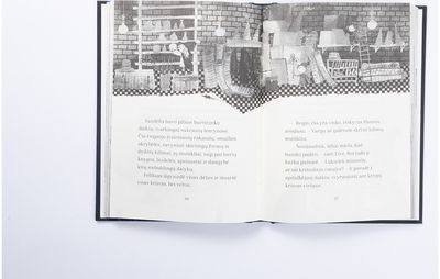 Eivės ir Tomo nuotykiai. Audros ragana