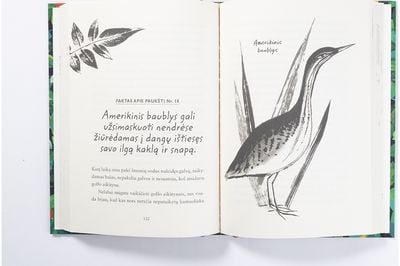 Paskui lakštingalą