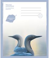 Sąsiuvinis Juodakaklis naras, 24 l., langeliais