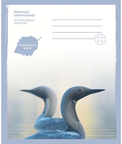 Sąsiuvinis Juodakaklis naras, 24 l., langeliais