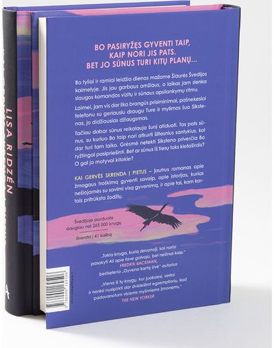 Kai gervės skrenda į pietus