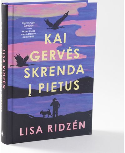 Kai gervės skrenda į pietus