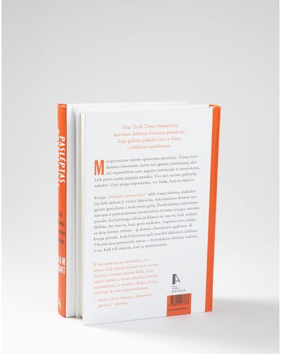 Paslėptas potencialas