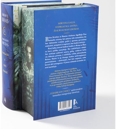 Dangaus ir oro giminė. Ciklo „Pusmėnulio miestas“ antra knyga