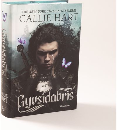 Gyvsidabris. Pirma knyga