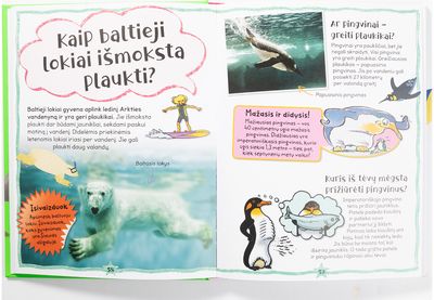 Kaip smalsu! Klausimai ir atsakymai