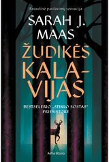 Žudikės kalavijas. Serijos „Stiklo sostas“ priešistorė