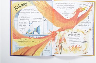 Profesorius Dumbldoras. Pocket Potters. Kišeniniai J. K. Rowling istorijų žinyna