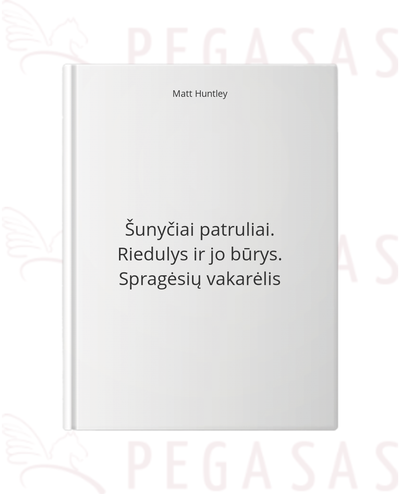 Šunyčiai patruliai. Riedulys ir jo būrys. Spragėsių vakarėlis
