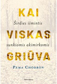 Kai viskas griūva