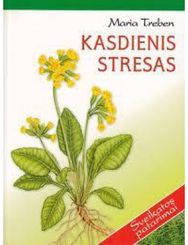 Kasdienis stresas