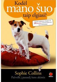 Kodėl mano šuo taip elgiasi?