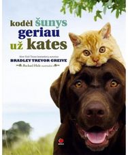 Kodėl šunys geriau už kates