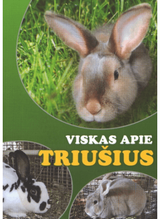 Viskas apie triušius