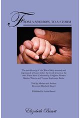 From a Sparrow to a Storm