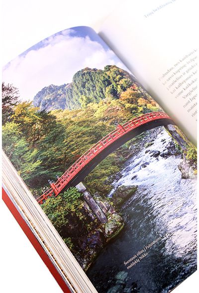 Aurelijus Zykas - Japonijos spalvos ir skoniai - 000000000002157059