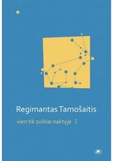 Regimantas Tamošaitis - Vien tik zuikiai naktyje. Esė - 000000000002166398