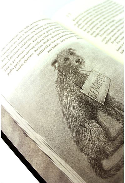 Sarah Lean - Šuo vardu Benamis - 000000000002166790