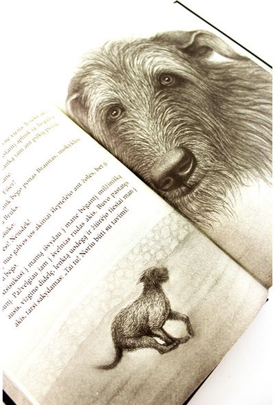 Sarah Lean - Šuo vardu Benamis - 000000000002166790