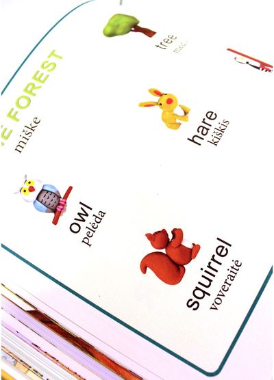  - Pasakos anglų kalbos mokymui. Užduotėlės. Pratimai. Žodynėlis - 000000000002167477